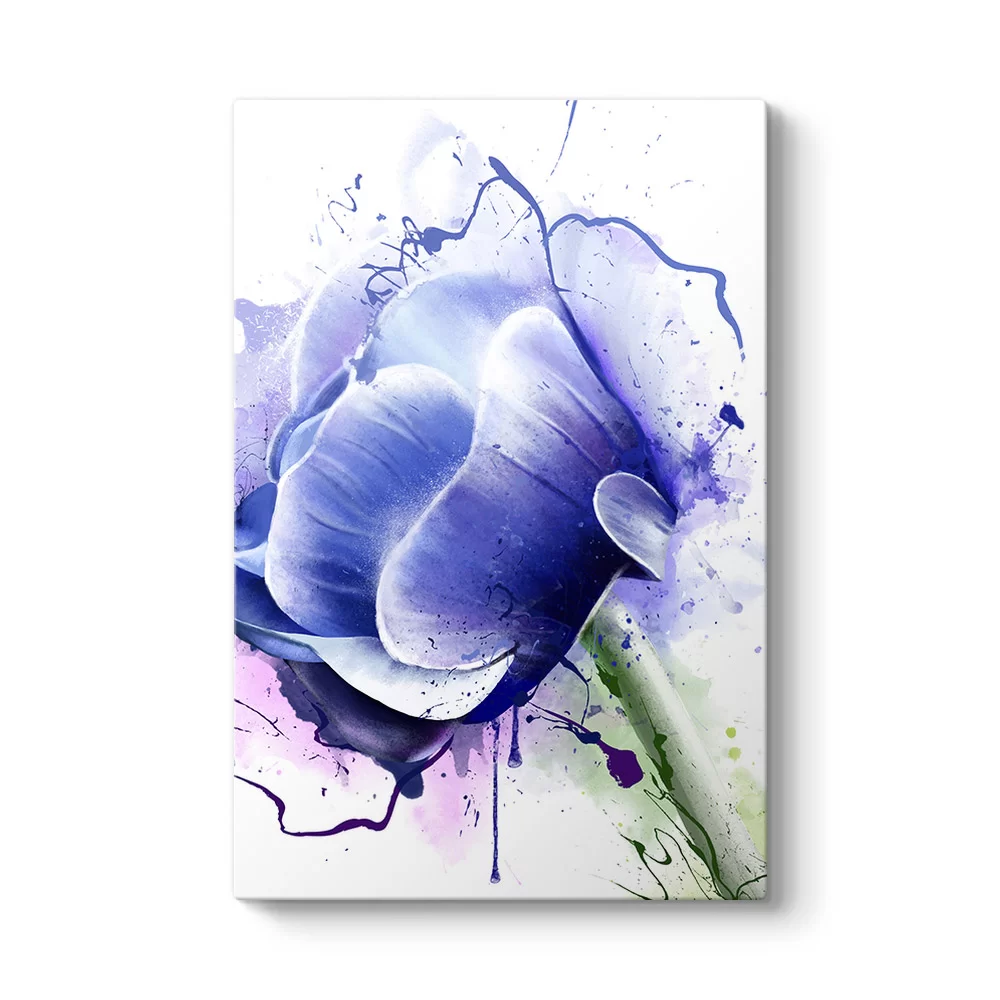 Anemone Çiçeği Tablosu - Model 2